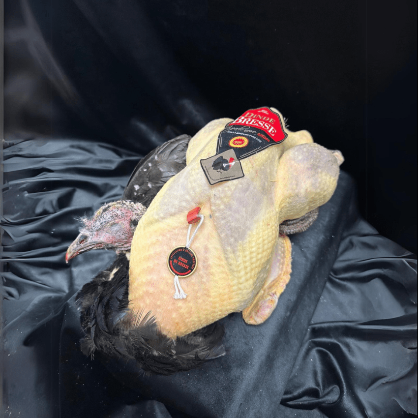 Dinde de Bresse Prêt à cuire